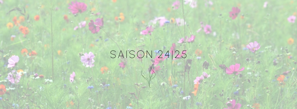 Saison artistique 2024-2025