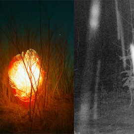« Distance » at Art Windsor-Essex | Hors-les-murs « Distance » at Art Windsor-Essex | Hors-les-murs