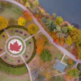 Flânerie in High Park with Tania Love | Making plant-based ink