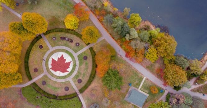 Flânerie in High Park with Tania Love | Making plant-based ink