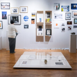 Cabinet of curiosities | Auction and member expo 2025 Cabinet of curiosities | Auction and member expo 2025