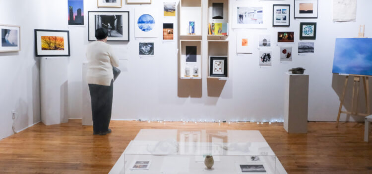 Cabinet of curiosities | Auction and member expo 2025