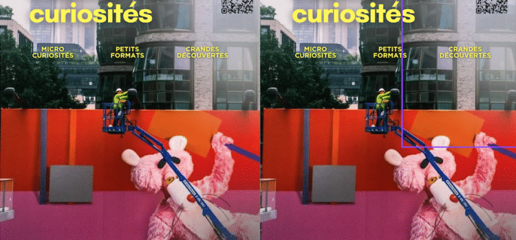 Cabinet of curiosities | Auction and member expo 2025 Cabinet of curiosities | Auction and member expo 2025