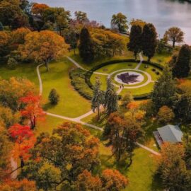 Flânerie à High Park avec Tania Love | Création de teintures végétales
