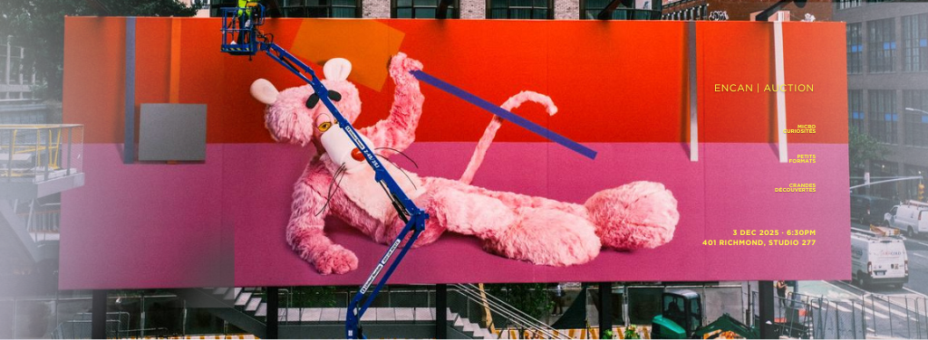 Cabinet de curiosités | 3 décembre