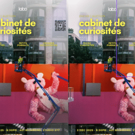 Cabinet de curiosités | Encan et expo des membres 2025