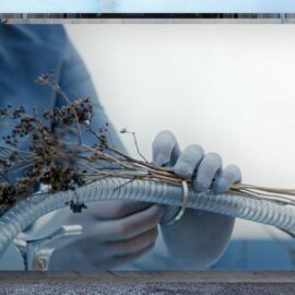 Performance | Anouk Verviers : « we felt our cells tumble, cluster, and creep »